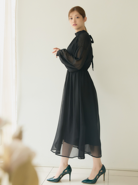 Sheer Chiffon Dress