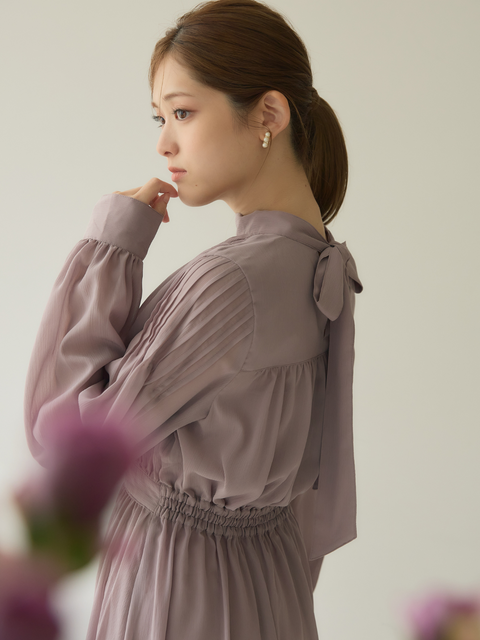 Sheer Chiffon Dress