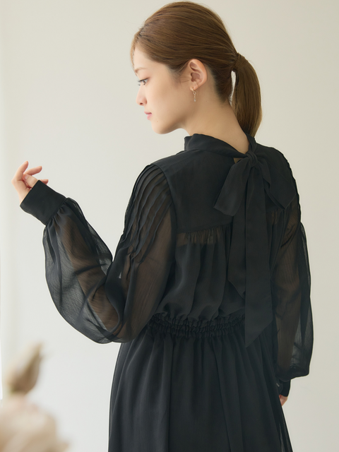 Sheer Chiffon Dress