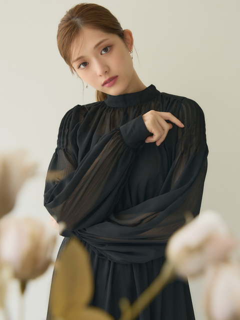 Sheer Chiffon Dress