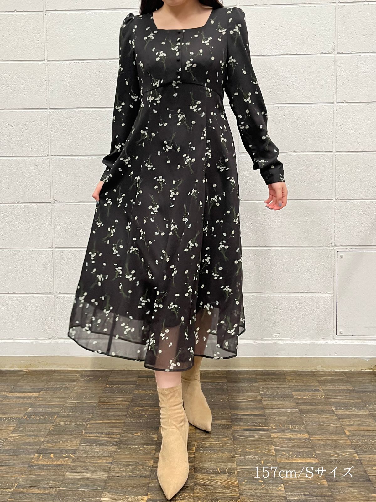 Daisy Sheer Chiffon Dress