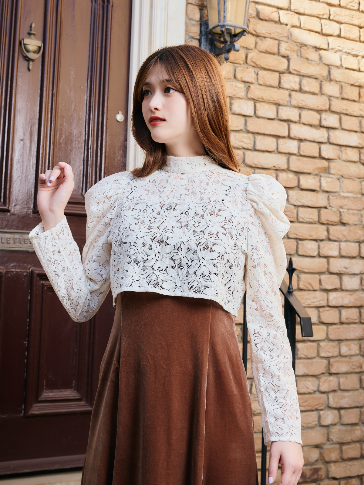 4way Lace Velours Dress