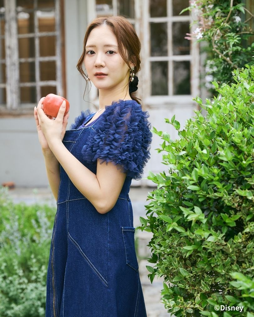 Snow White and Seven Dwarfs / Denim Bustier Dress – LANTINAM