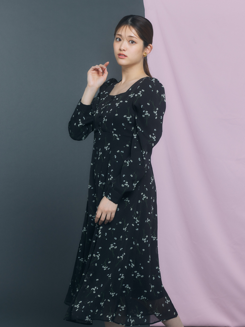 Daisy Sheer Chiffon Dress