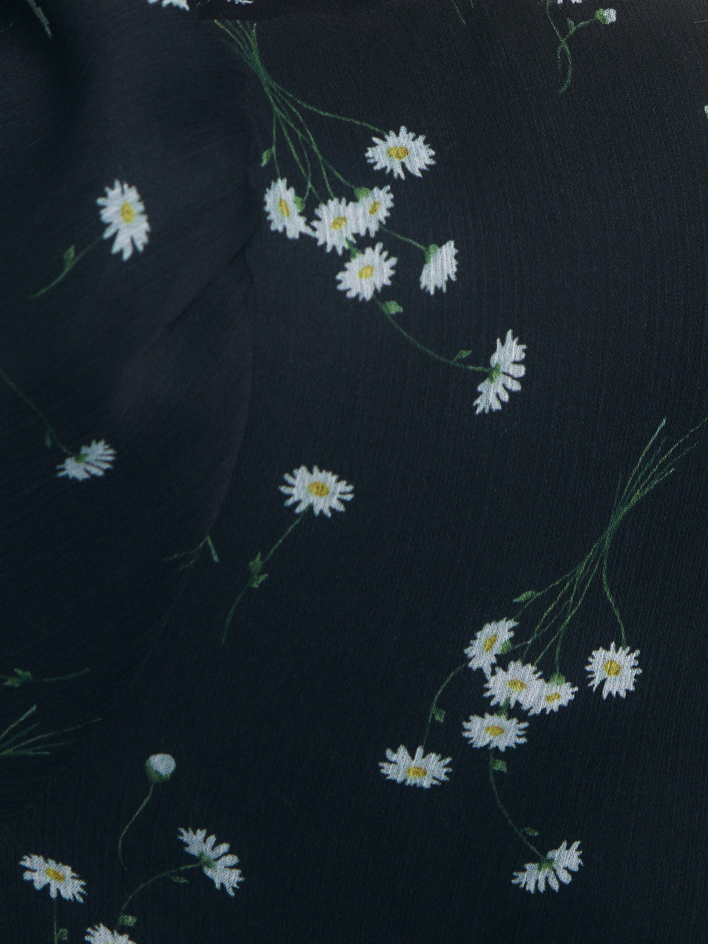 Daisy Sheer Chiffon Dress