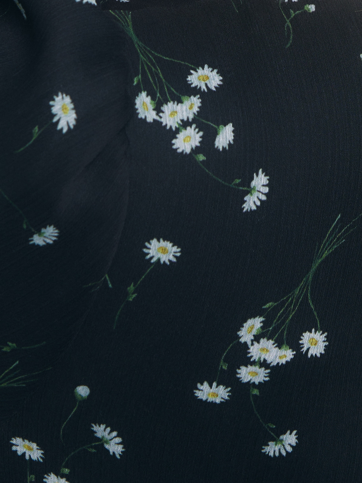 Daisy Sheer Chiffon Dress